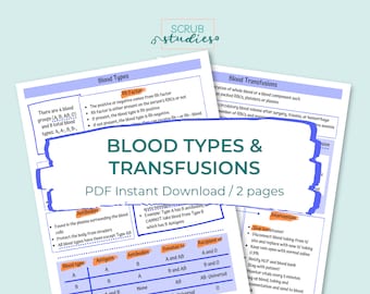 Blood Types and Transfusions | Nursing student study guide | Digital Download | Nursing student study sheets | study notes