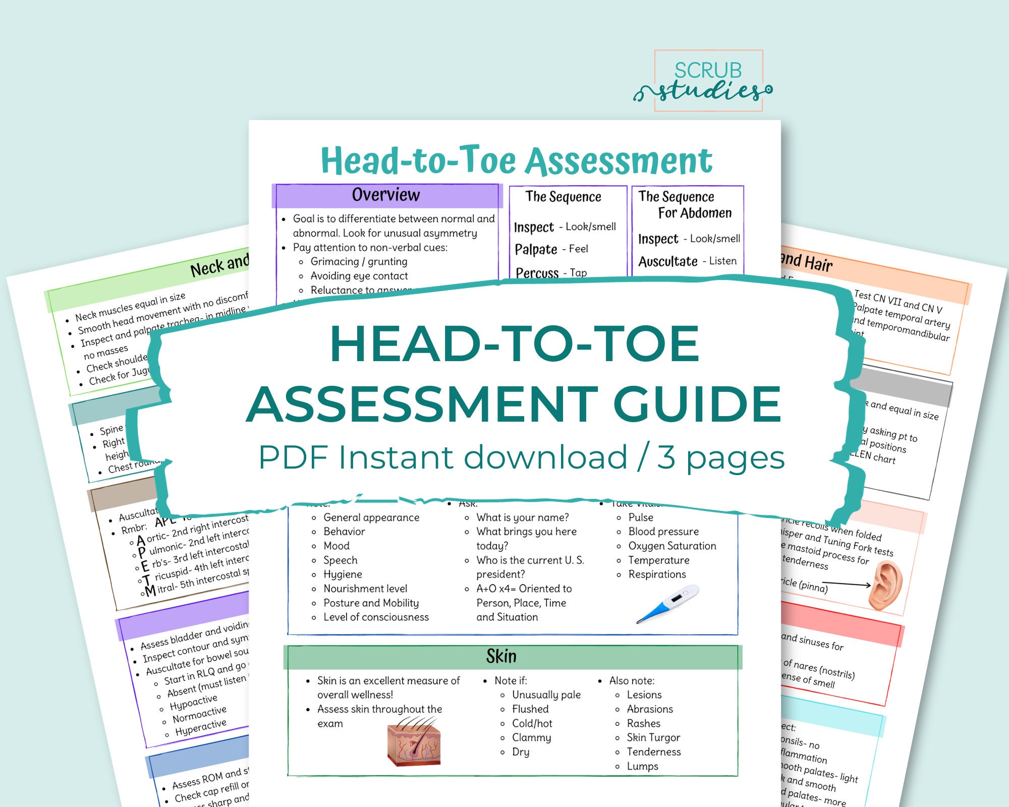 Head-to-toe Assessment Guide | Nursing Study Guides | Digital Download ...