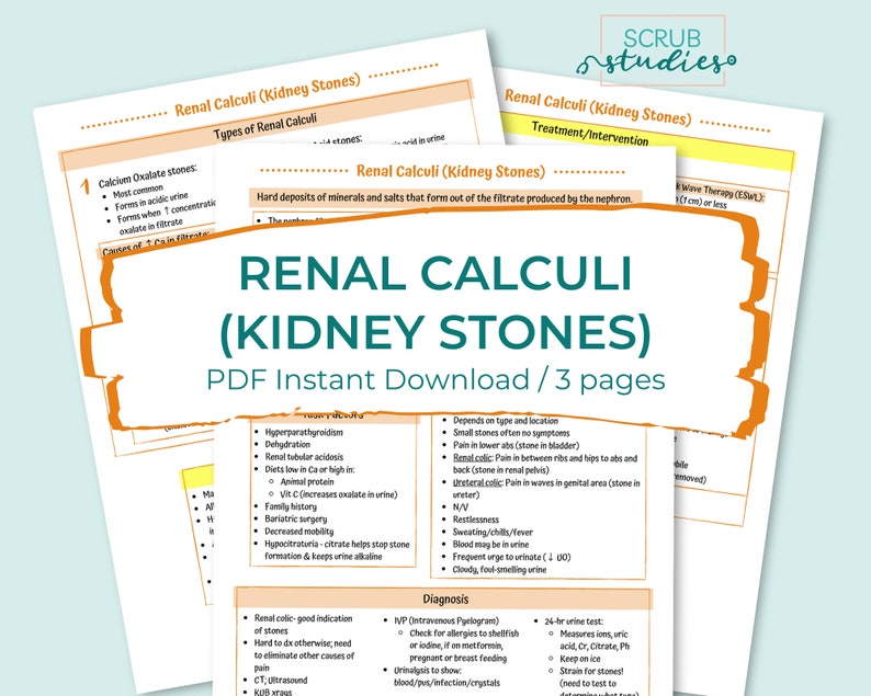 Renal Bundle Kidneys Nephrons RAAS Chronic Kidney Disease AKI Renal Calculi UTI Glomerulonephritis Dialysis Diuretics image 6