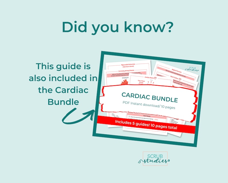 May include: A red and white graphic with the text "CARDIAC BUNDLE" and "PDF Instant download/10 pages" and "Includes 5 guides! 10 pages total". The graphic is surrounded by a red border and has a white heart icon in the upper left corner. The text "SCRUB studies" is in the lower right corner.