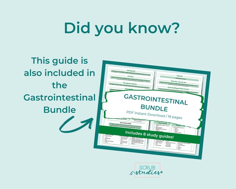 May include: A green and white digital download bundle for the gastrointestinal system. The bundle includes 8 study guides and is a PDF instant download with 19 pages. The text "Gastrointestinal Bundle" is in a green box with white text. The text "Includes 8 study guides!" is in a white box with green text. The text "PDF Instant Download/19 pages" is in white text on a green background.