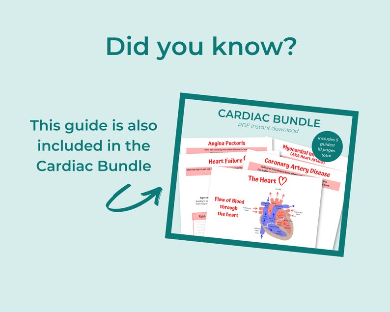 Cardiac Basics Nursing Study Guides Digital Download Etsy