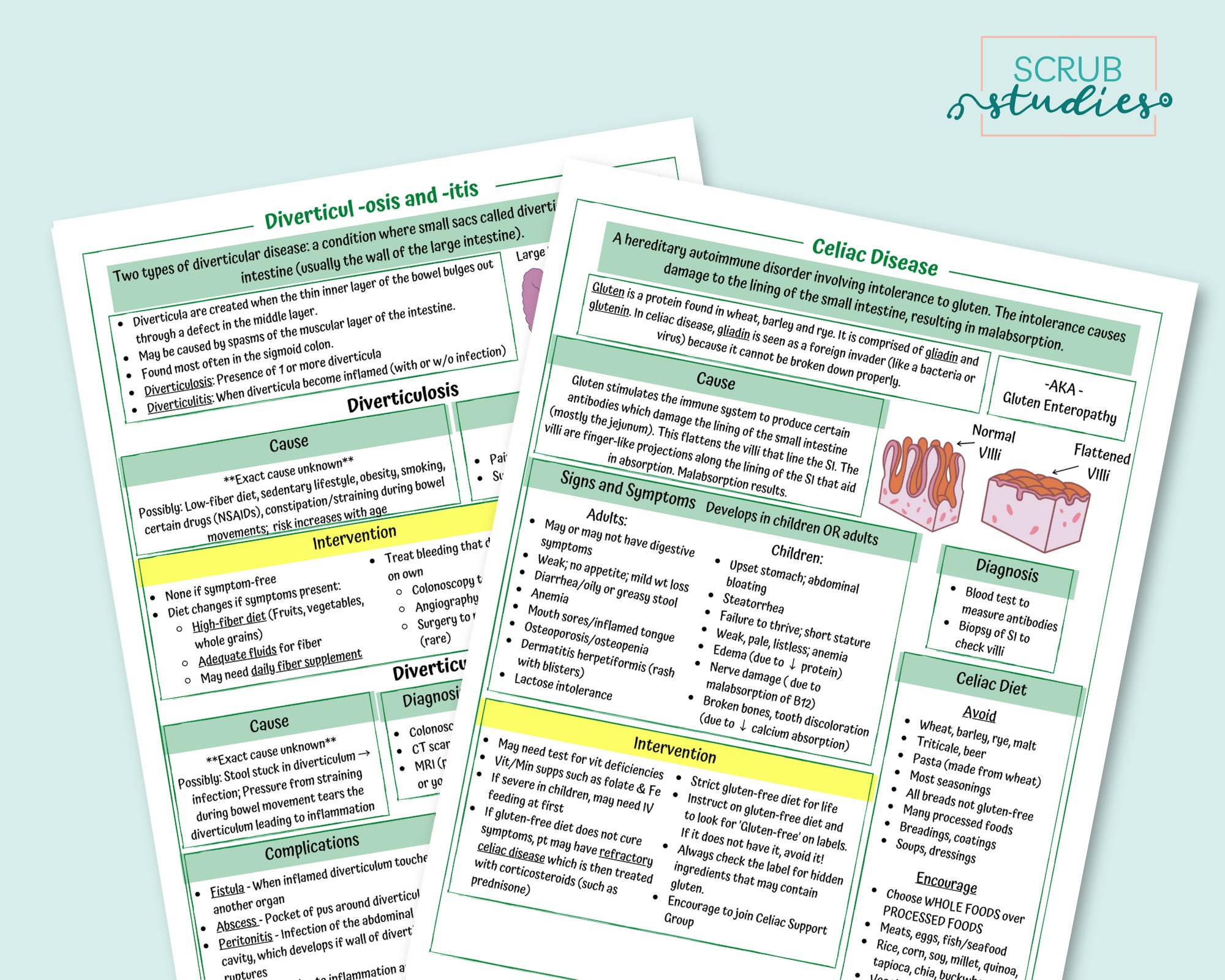 Diverticulosis Diverticulitis and Celiac Disease Study Guide - Etsy Denmark