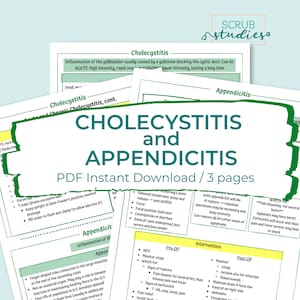 Cholezystitis und Blinddarmentzündung Studienführer | Pflegeanleitung | Digitaler Download | Stillarbeitsblatt | Notiz zum Krankenpflege-Studium