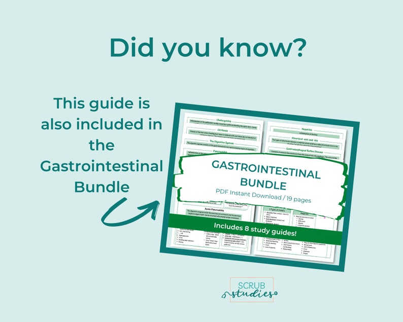 The Digestive System Study Guide | GI Tract | Gastrointestinal ...