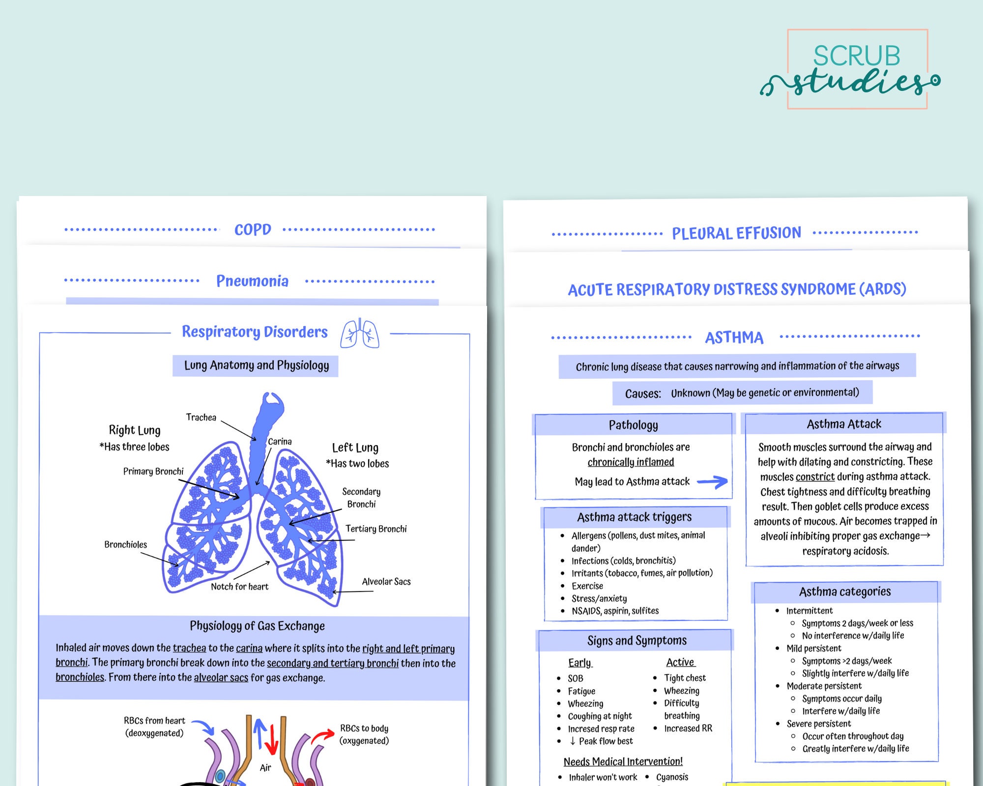 Respiratory Disorders Study Guide Nursing Student Study - Etsy