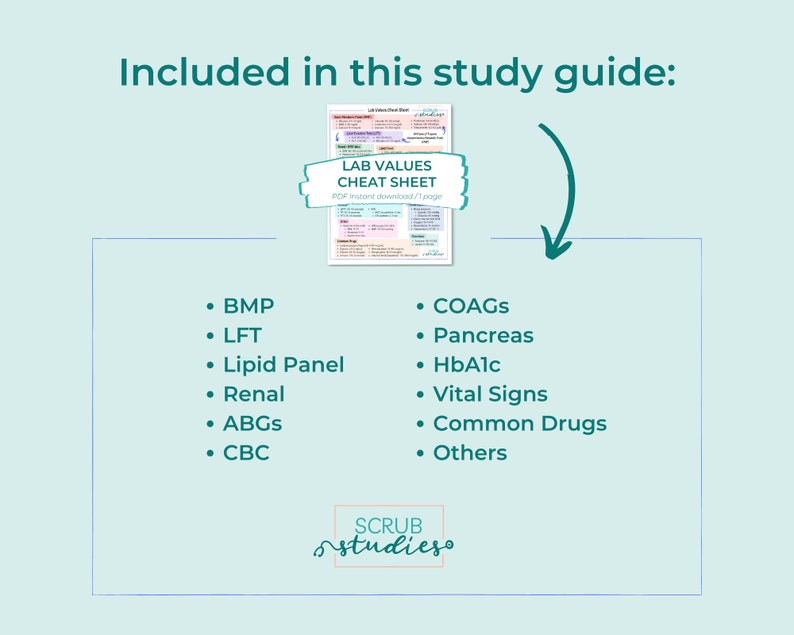 May include: A teal study guide graphic with the text "Included in this study guide:" and a list of medical topics such as BMP, LFT, and HbA1c. A smaller image of a "LAB VALUES CHEAT SHEET" is also included.