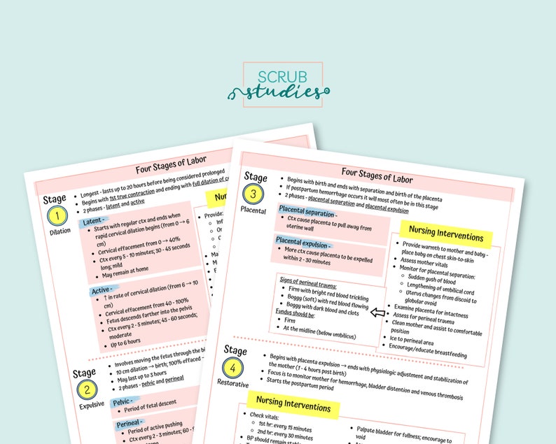 Stages of Labor | Nursing Student Study Guide | Nursing Study Notes ...