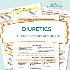 Renal Bundle Kidneys Nephrons RAAS Chronic Kidney Disease AKI Renal Calculi UTI Glomerulonephritis Dialysis Diuretics image 10