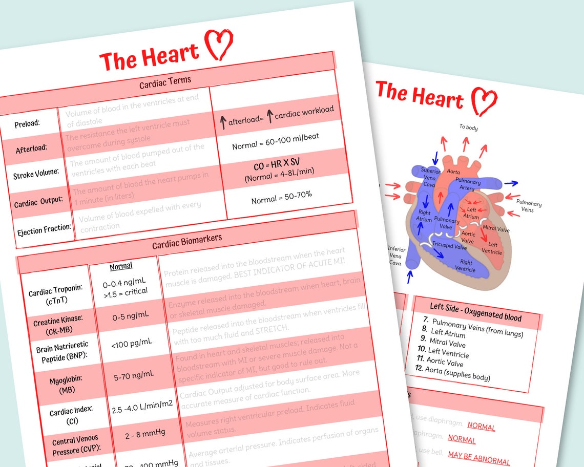 Cardiac Basics Nursing Study Guides Digital Download Etsy Canada