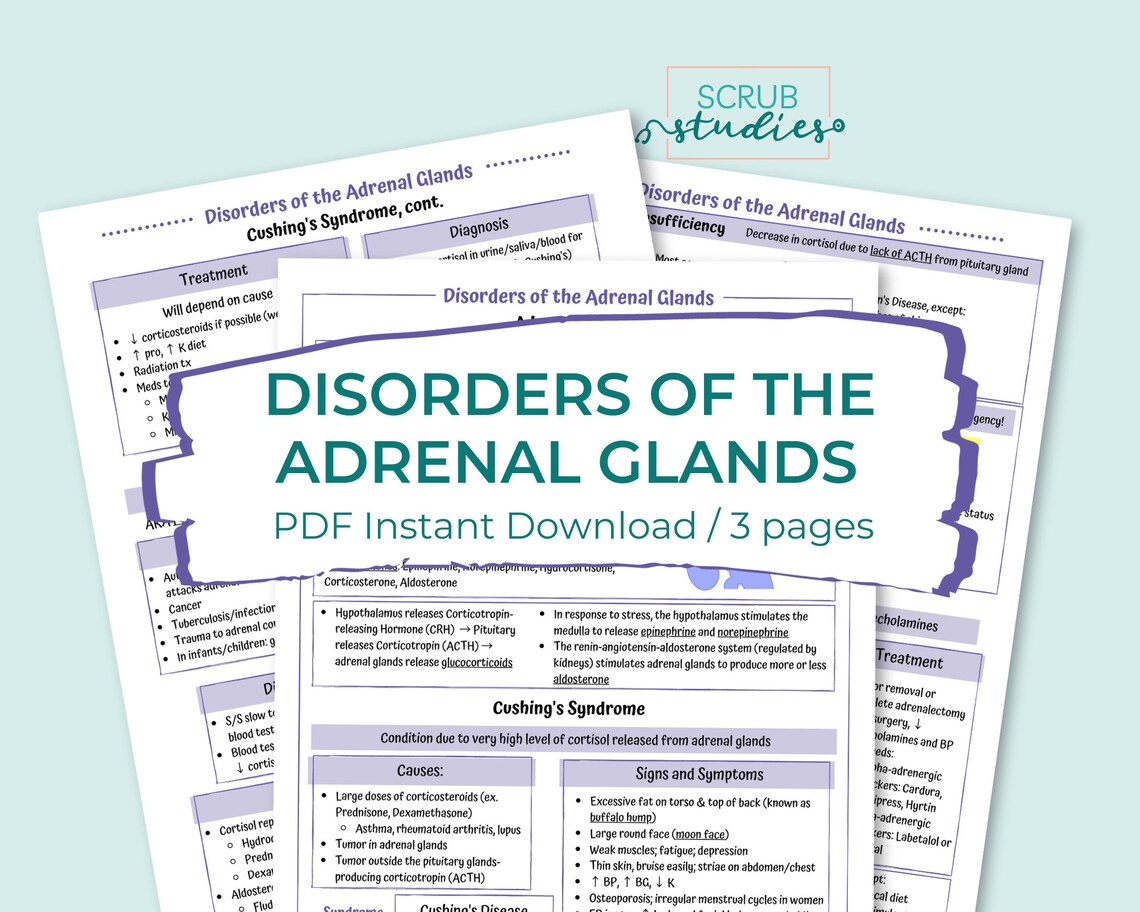Endocrine Bundle | Nursing Student Study Guide | Digital Download ...