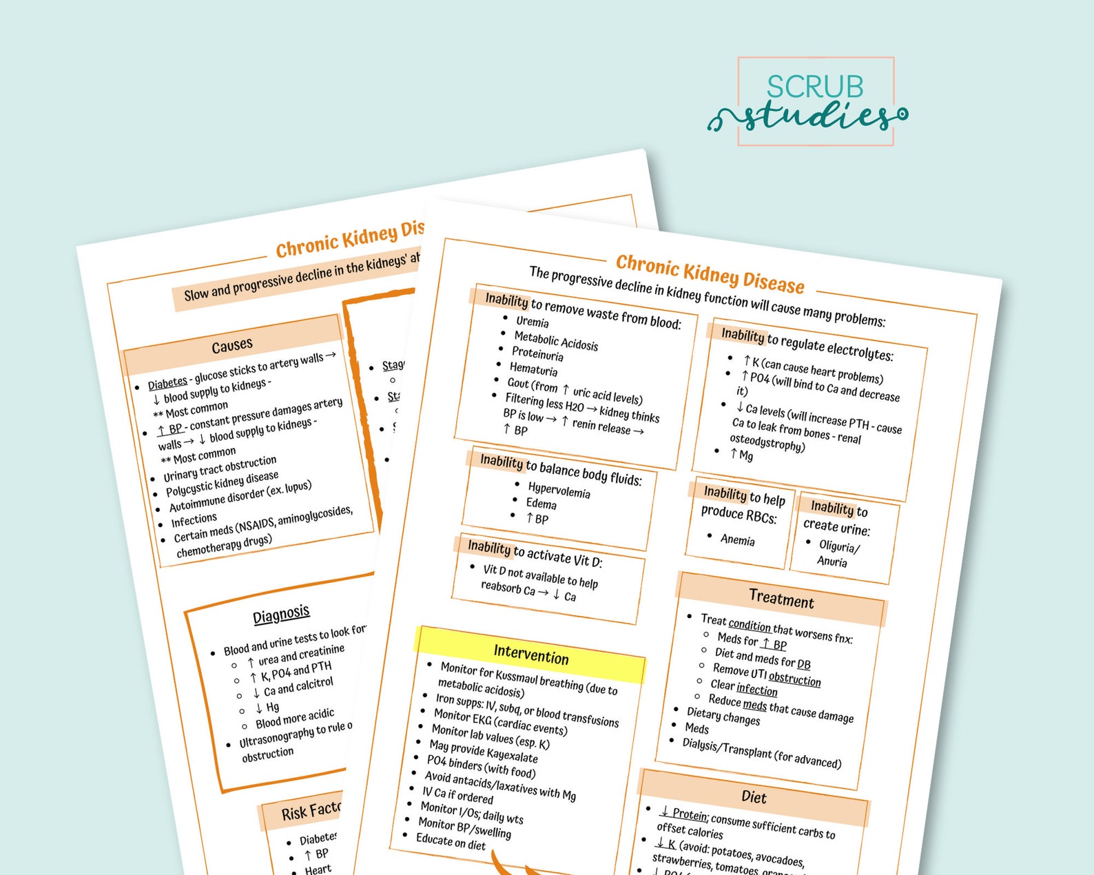 Chronic Kidney Disease | Nursing Student Study Guide | Digital Download ...