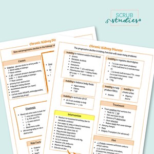 Chronic Kidney Disease | Nursing Student Study Guide | Digital Download ...