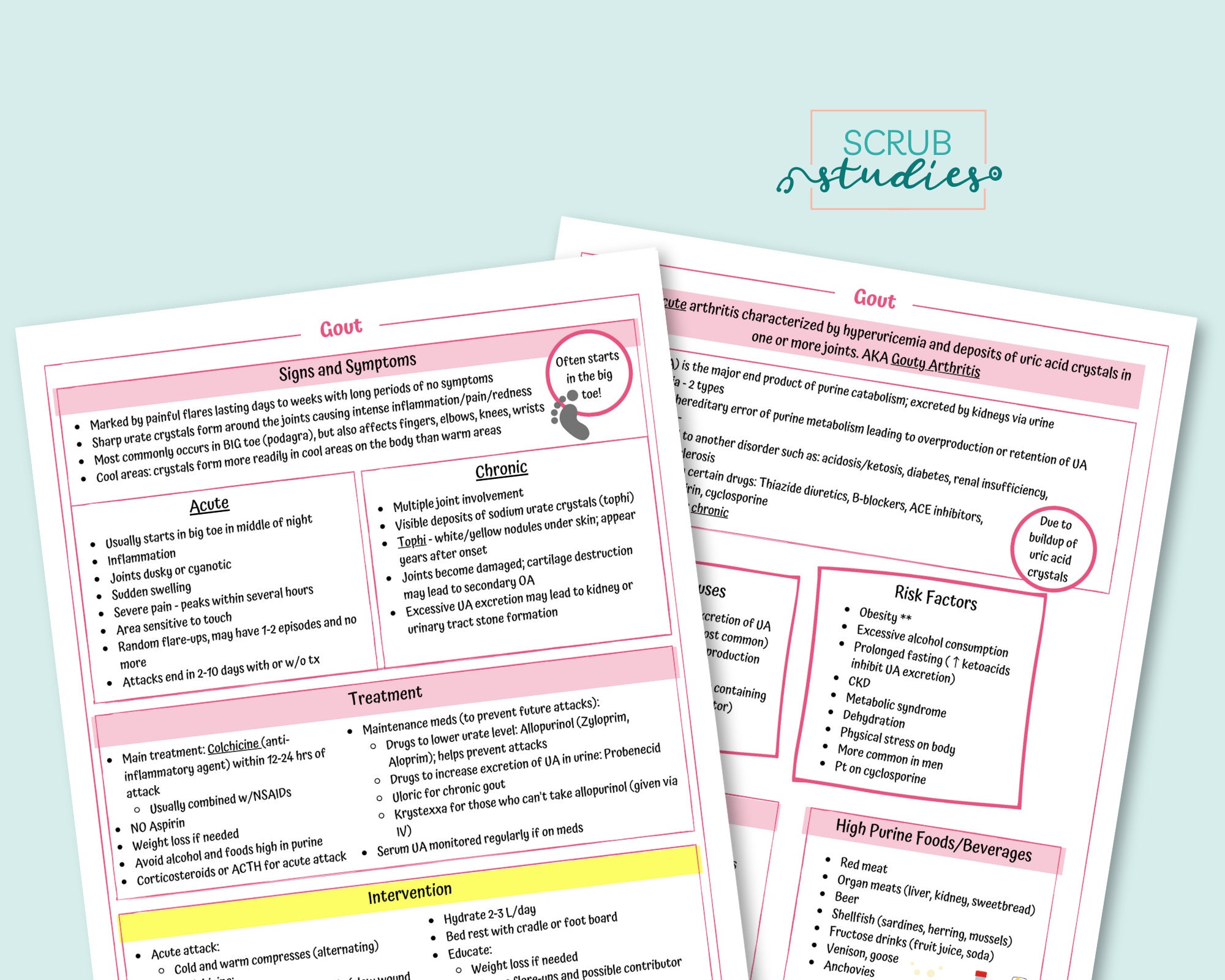 Gout Gouty Arthritis Hyperuricemia Nursing Study Guide - Etsy