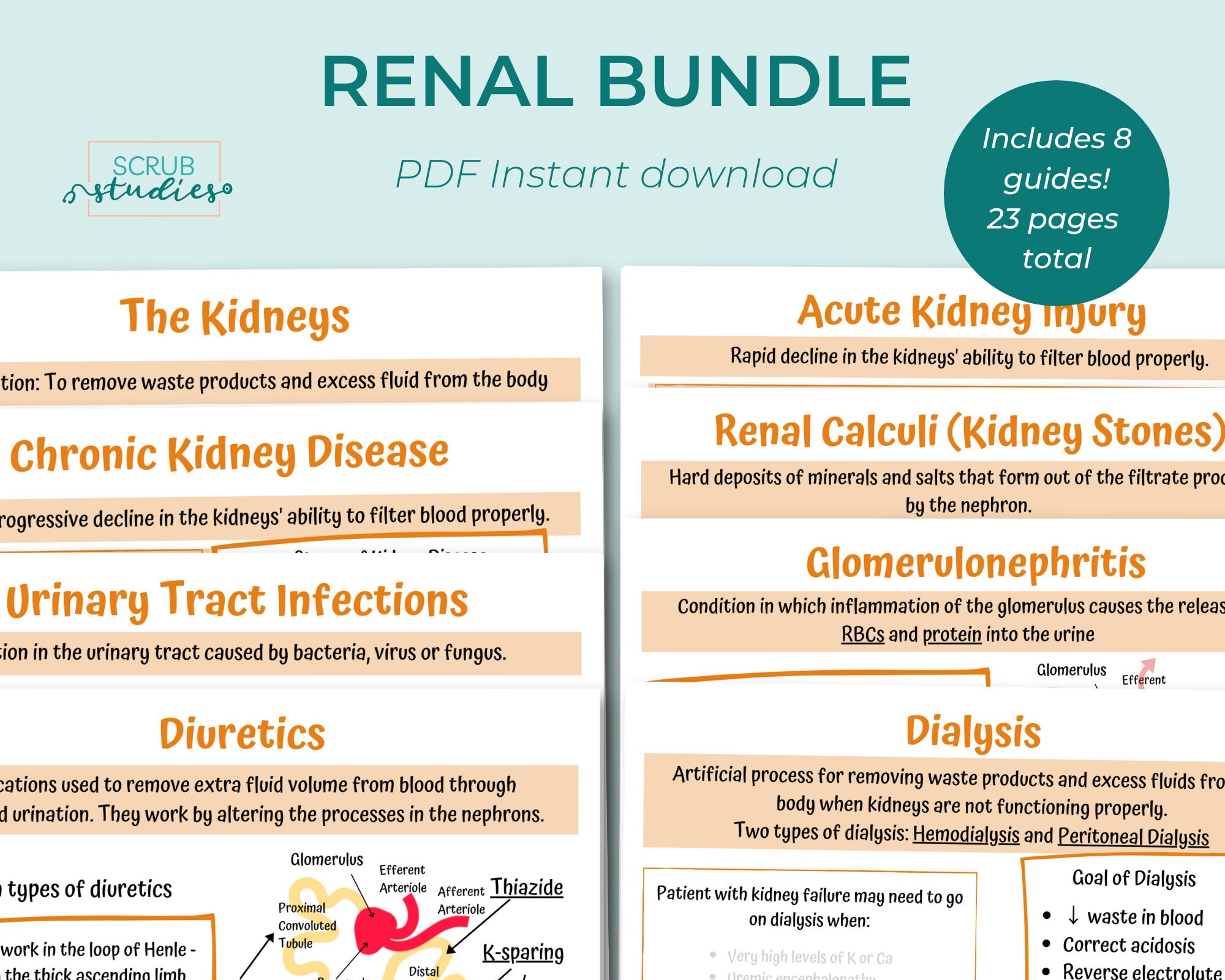 Renal Bundle Kidneys Nephrons RAAS Chronic Kidney - Etsy