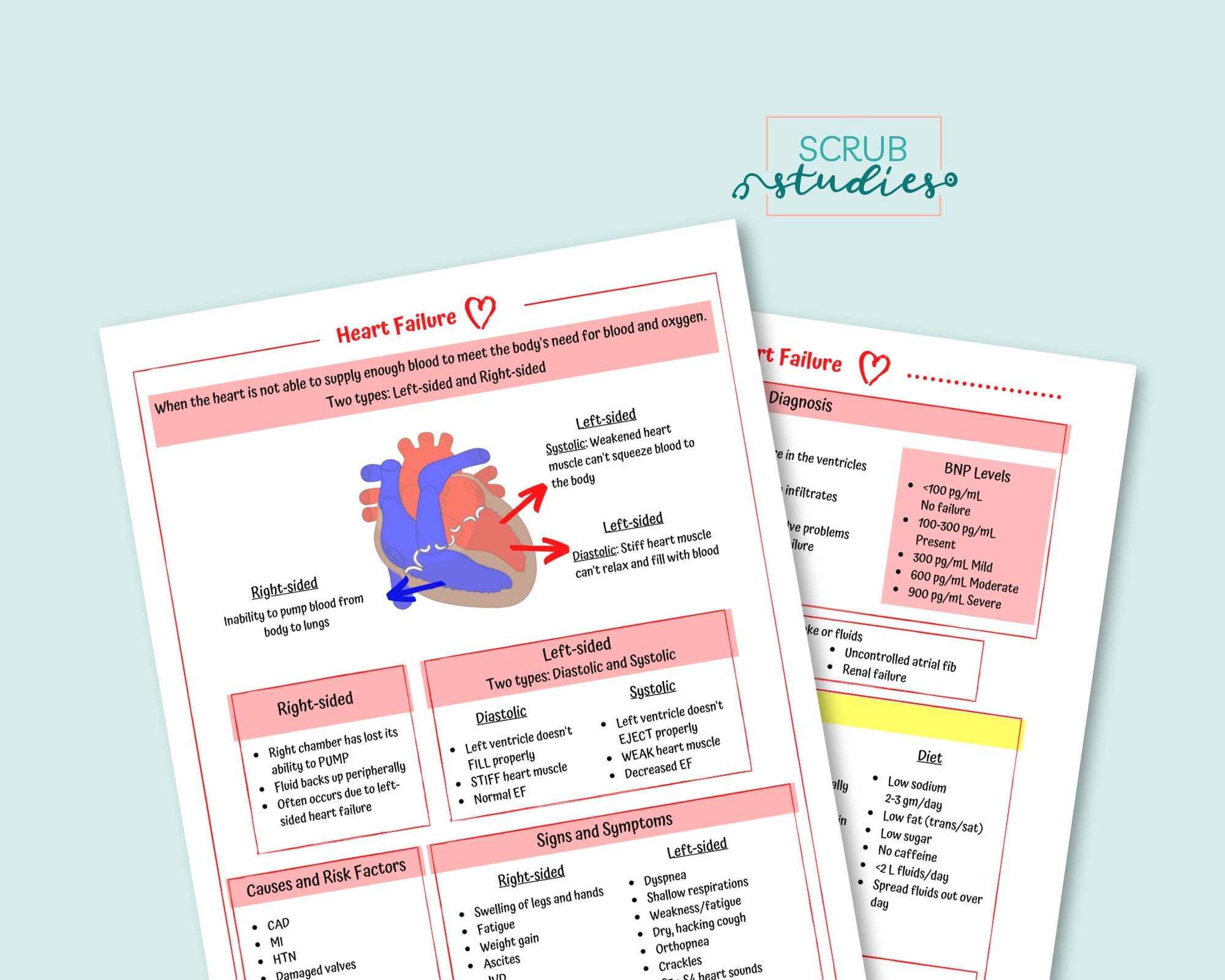 Heart Failure Study Guide | Digital Download | Nursing Study Guides ...