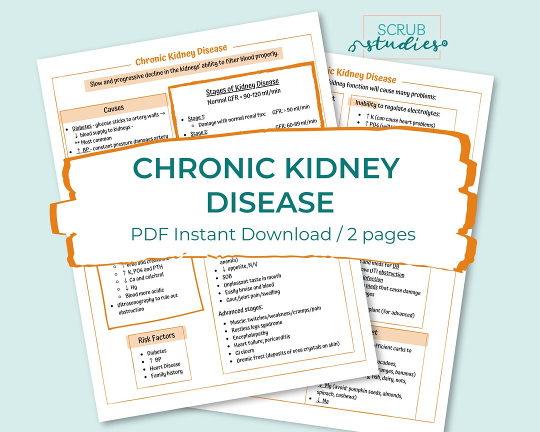Chronic Kidney Disease | Nursing Student Study Guide | Digital Download ...