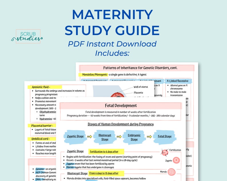 OB & Maternity Study Guide Nursing Student Study Guide Etsy