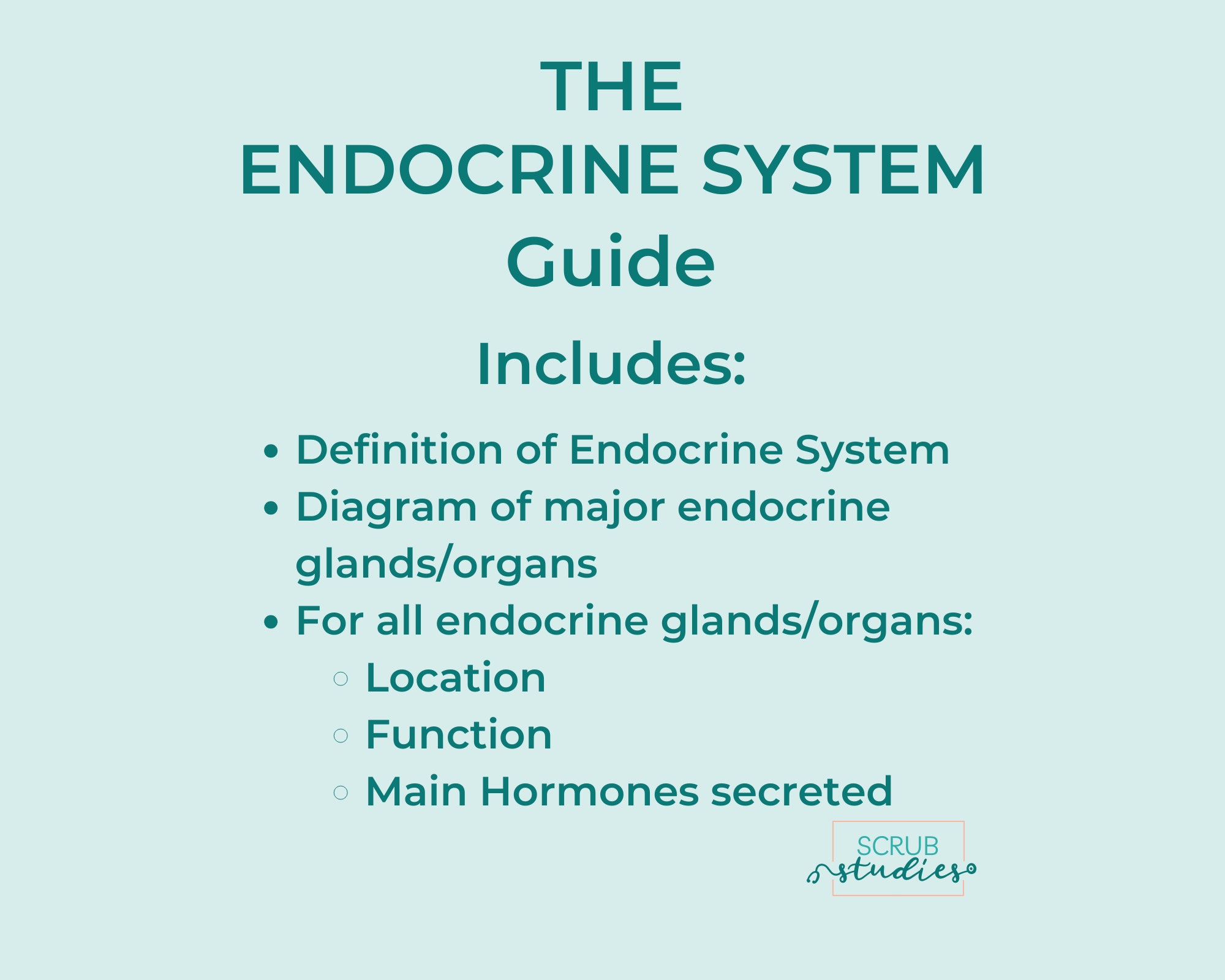 Endocrine System Study Guide | Nursing Study Notes | Digital Download ...