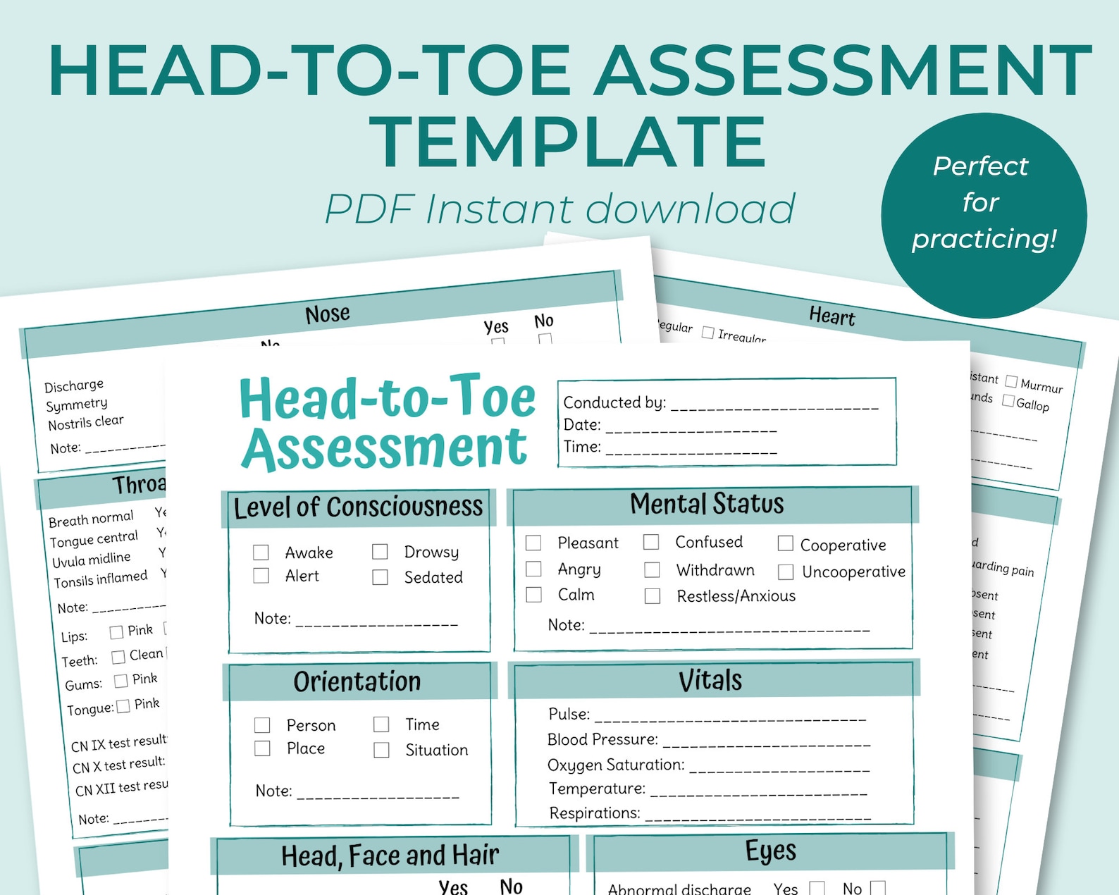 Head to toe Assessment Template Nursing Study Guide Etsy