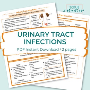 Könnte beinhalten: Ein zweiseitiges PDF-Dokument über Harnwegsinfektionen, das als digitaler Download verfügbar ist. Das Dokument behandelt die Ursachen, Symptome, Diagnose und Behandlung von Harnwegsinfektionen und enthält ein Diagramm der Harnwege.
