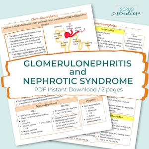 Glomerulonephritis and Nephrotic Syndrome | Kidneys | Nursing study guide | Digital Download
