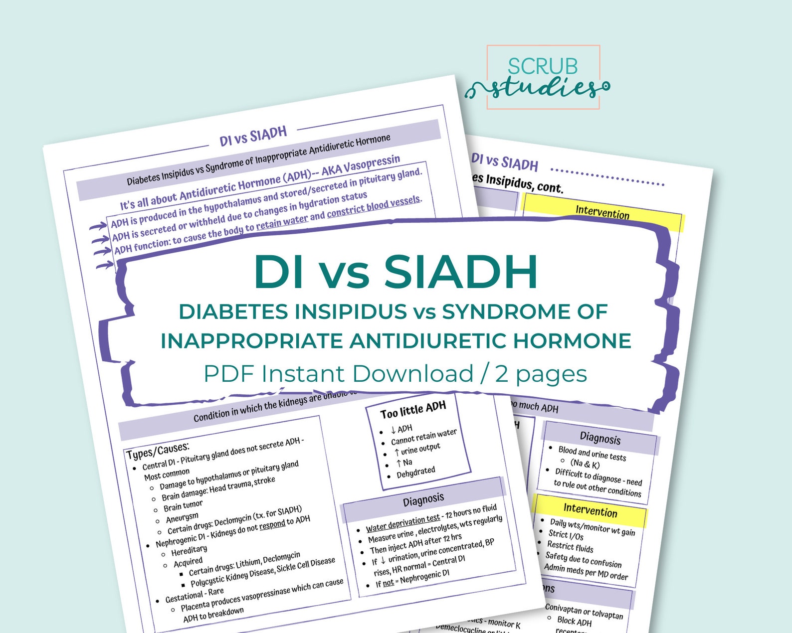 Endocrine Bundle | Nursing Student Study Guide | Digital Download ...