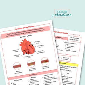 May include: Diagram of the human heart with red and yellow markings showing the location of coronary arteries. The diagram is labeled with the names of the arteries. The text below the diagram explains coronary artery disease, its symptoms, risk factors, and possible interventions.