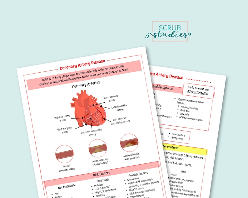 May include: Diagram of the human heart with red and yellow markings showing the location of coronary arteries. The diagram is labeled with the names of the arteries. The text below the diagram explains coronary artery disease, its symptoms, risk factors, and possible interventions.
