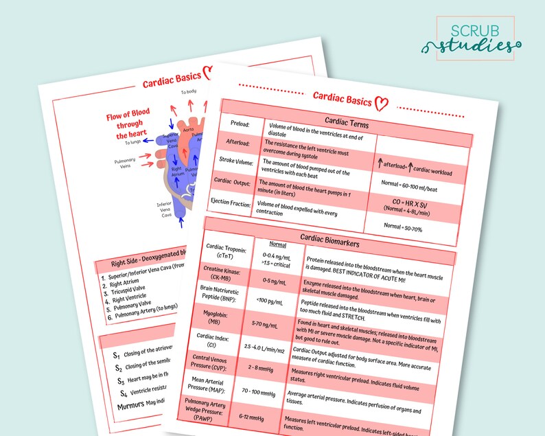 Cardiac Basics Nursing Study Guides Digital Download Etsy