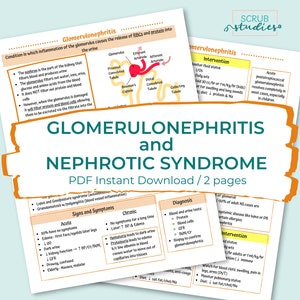 Renal Bundle | Kidneys | Nephrons | RAAS | Chronic Kidney Disease | AKI ...