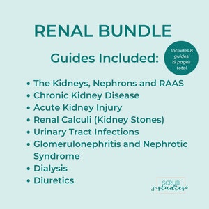 Renal Bundle Kidneys Nephrons RAAS Chronic Kidney Disease AKI Renal Calculi UTI Glomerulonephritis Dialysis Diuretics image 2