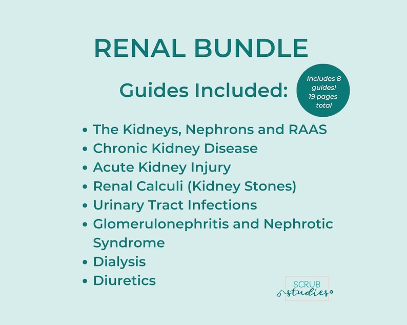 Renal Bundle Kidneys Nephrons RAAS Chronic Kidney Disease AKI Renal Calculi UTI Glomerulonephritis Dialysis Diuretics image 2