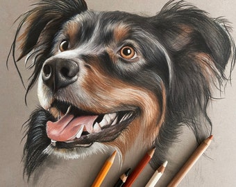 Retratos de mascotas a lápiz de colores personalizados, retrato de mascotas dibujado a mano, comisión de dibujo de mascotas, regalo de pérdida de mascotas, lápiz de colores, regalo de amante de los perros