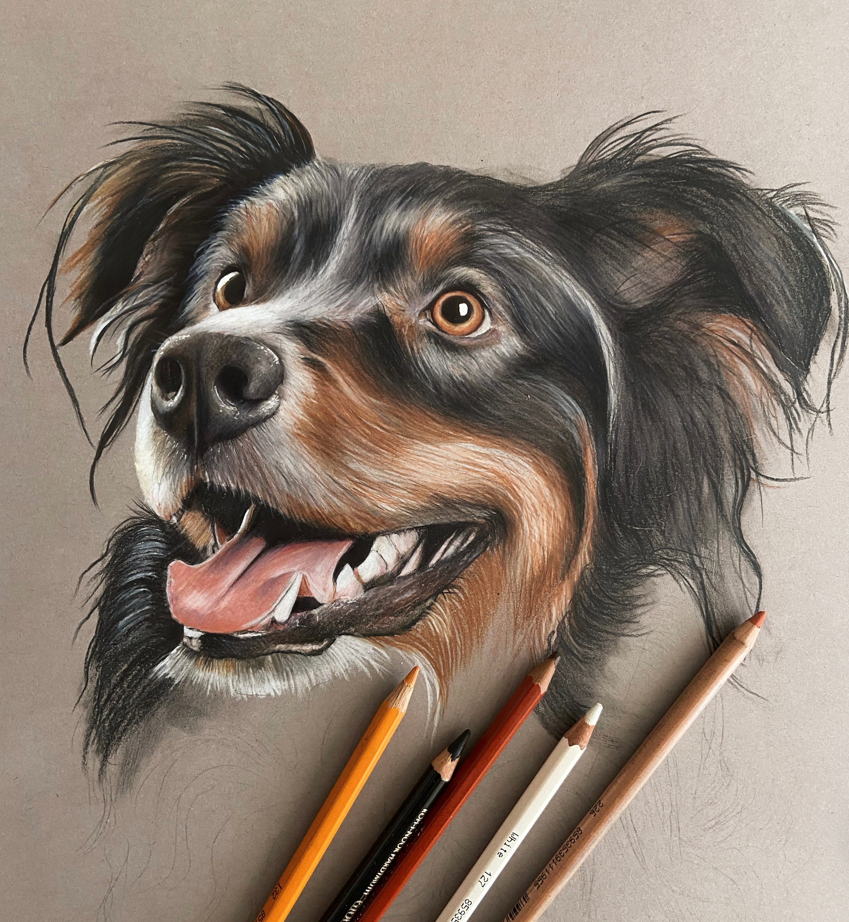 Animal Pencil Drawing