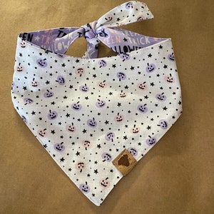 Spooky Buddies Reversible Tie On Pet Bandana