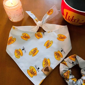 Luke’s Tie On Pet Bandana