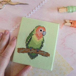 Patrón de punto de cruz en PDF de agapornis tropicales - Diseños de Hannah Bridget