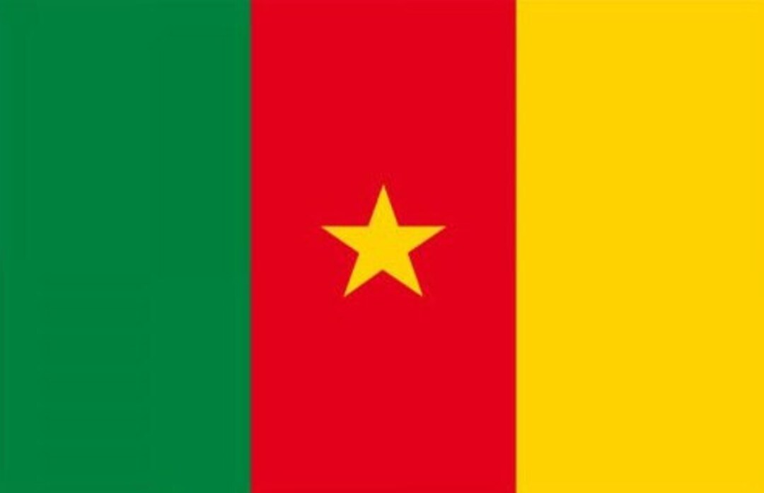 Cameroon Flag 90x150cm