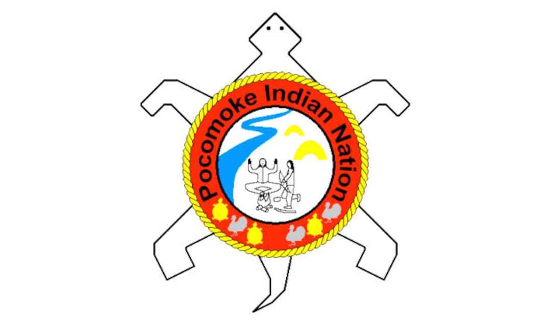 Flag of the Indian Nation Selfadhesive Decal native Etsy