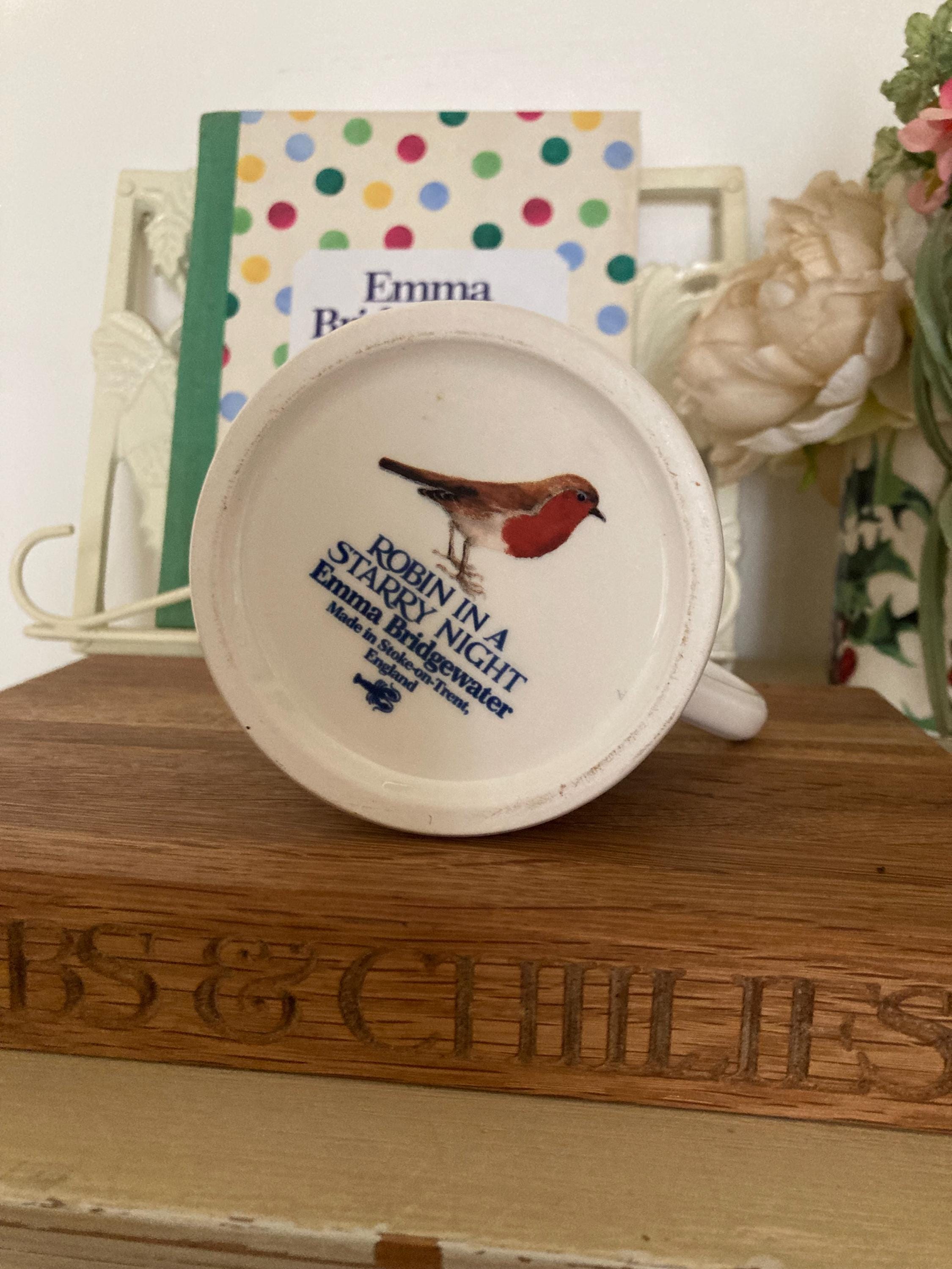 Rare Emma Bridgewater Winter Animals at Night Mug • Robin in a