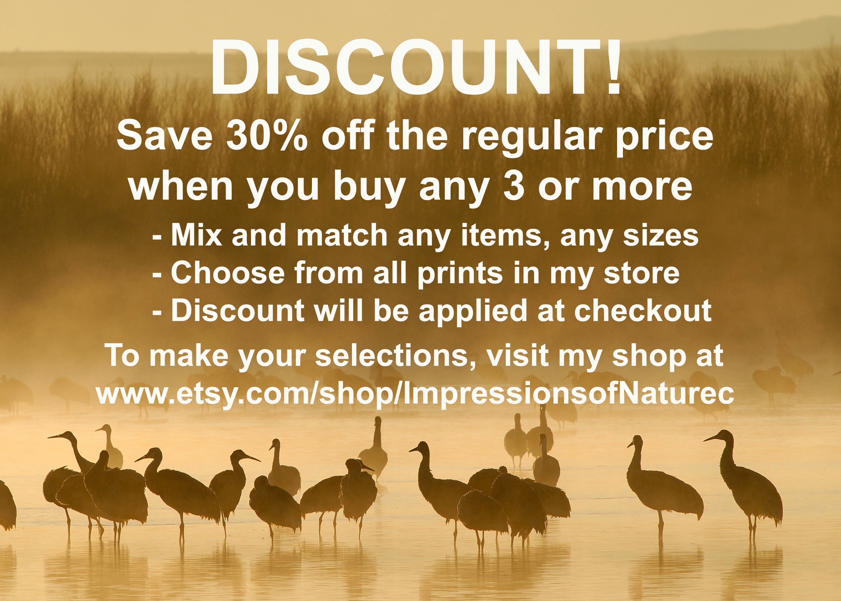 Purple Flower Photo Iris Print Flower Photo Print Iris | Etsy