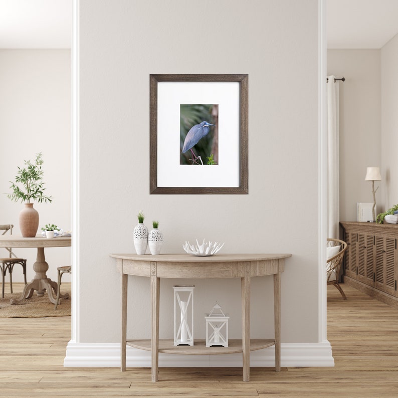 Egret Photography Tri-colored Heron Heron Print Egret Photo Egret Wall Art Heron Picture Egret Heron Photo Heron Photography