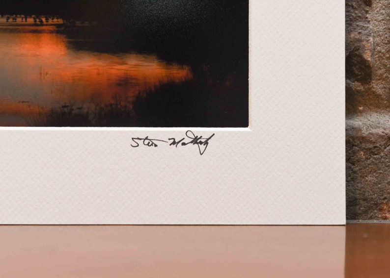 Egret Photography Tri-colored Heron Heron Print Egret Photo Egret Wall Art Heron Picture Egret Heron Photo Heron Photography