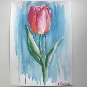 Tulpe, Tulpen Kunst, Tulpen Malerei, Aquarell, Tulpen Zeichnung, Aquarell, Original Aquarell, Tulpen Aquarell