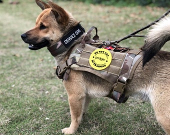 Velcro patches for dog collars Clearance