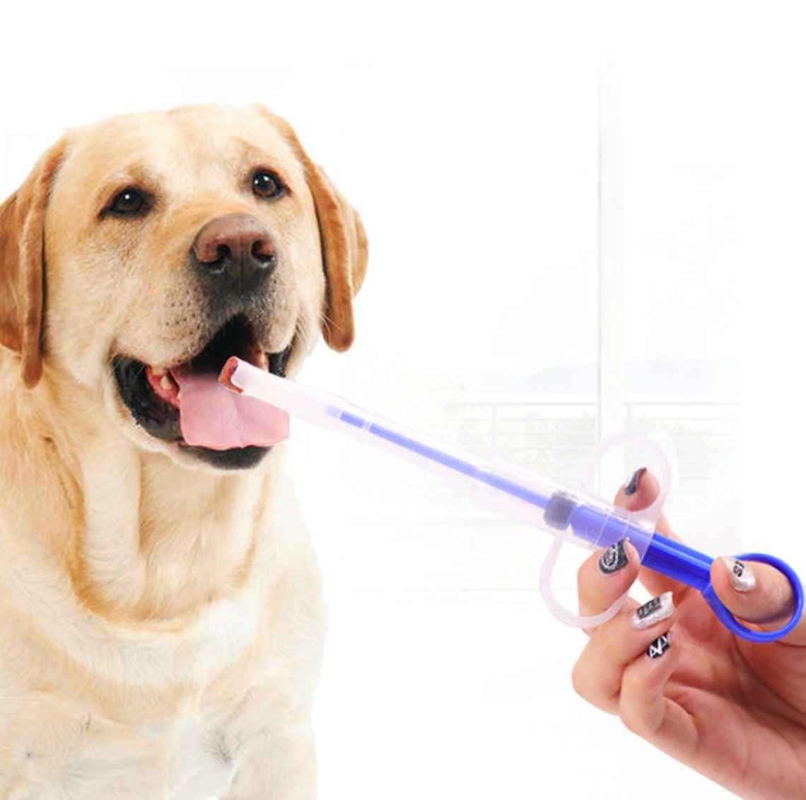 Pet Syringe Milk Syringe Pet Liquid Syringe Dog Food Etsy