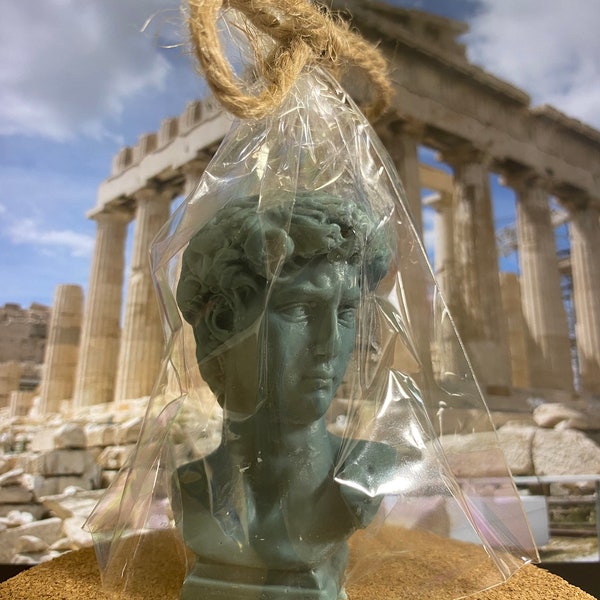 Elegant and refined soap statue of Michelangelo's David /Party favor soap / wedding decoration soap / Aesthetic bust soap/ David head soap