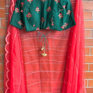Reddish organza saree with green velvet blouse