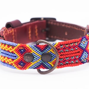 Könnte beinhalten: Ein farbenfrohes Hundehalsband mit gewebtem Design. Das Halsband hat ein Muster in Rot, Blau, Gelb und Lila. Das Halsband hat eine braune Lederunterlage und einen Metall-D-Ring und eine Schnalle.